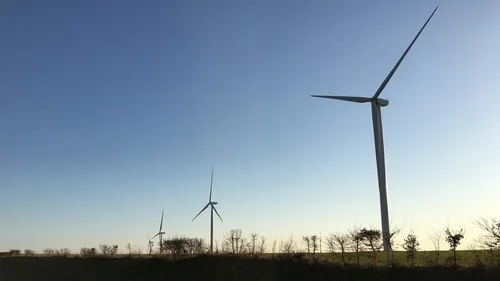 Essor de l’éolien : quels impacts sur les oiseaux dans la région ?